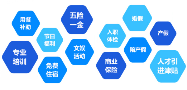 提供全面、系統、專(zhuān)業(yè)的培訓和廣闊的<br>職業(yè)發(fā)展空間和提升機會(huì )